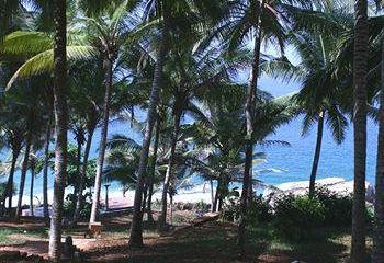 Отель Niraamaya Retreats Surya Samudra - Kovalam Индия, Керала, фото 17