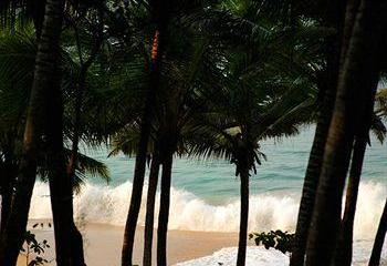 Отель Niraamaya Retreats Surya Samudra - Kovalam Индия, Керала, фото 23