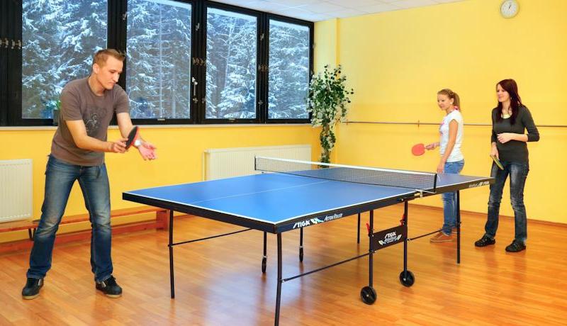 Wellness hotel Svornost