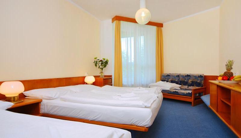 Wellness hotel Svornost