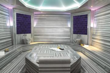 Отель Swissotel The Bosphorus Турция, Бешикташ, фото 11