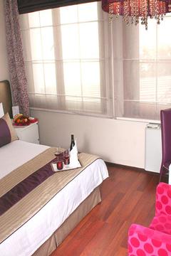 Отель Bakirkoy Tashan Business & Airport Hotel	 Турция, Стамбул, фото 3