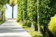 The Beach Boutique Resort