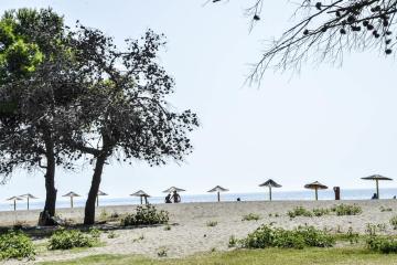 Отель Ada Bojana Черногория, Ульцинь, фото 18