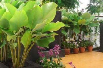 Отель The Ivory Suvarnabhumi Hotel Таиланд, Бангкок, фото 5