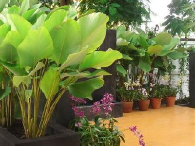 The Ivory Suvarnabhumi Hotel