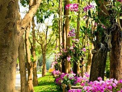 The Legacy River Kwai Resort Kanchanaburi