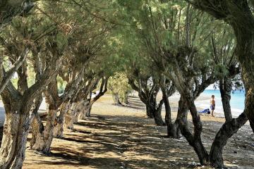 Отель All Senses Ocean Blue Resort Греция, о Родос, фото 4