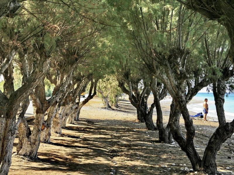 All Senses Ocean Blue Resort