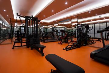 Отель Aydinbey Gold Dreams Турция, Тюрклер, фото 12