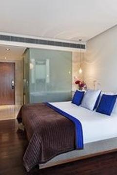 Отель The Park New Delhi Индия, Дели, фото 24