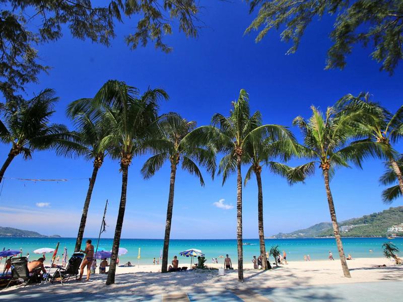 The Royal Palm Beach Front