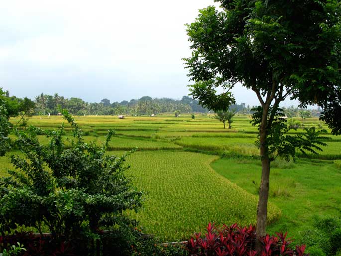 The Ubud Village Resort & Spa