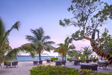 Отель Adaaran Prestige Water Villas Мальдивы, Раа Атолл, фото 17