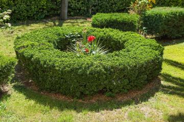 Отель Xenios Theoxenia Греция, Афон, фото 11