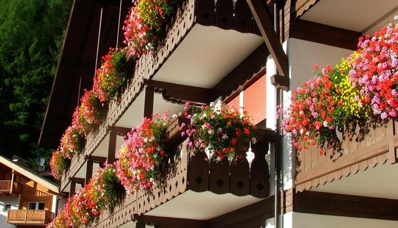 Hotel Azola 