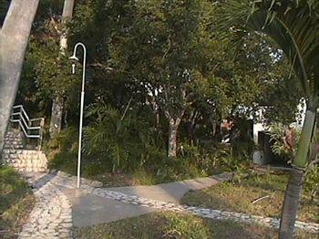 Treasure Beach Hotel