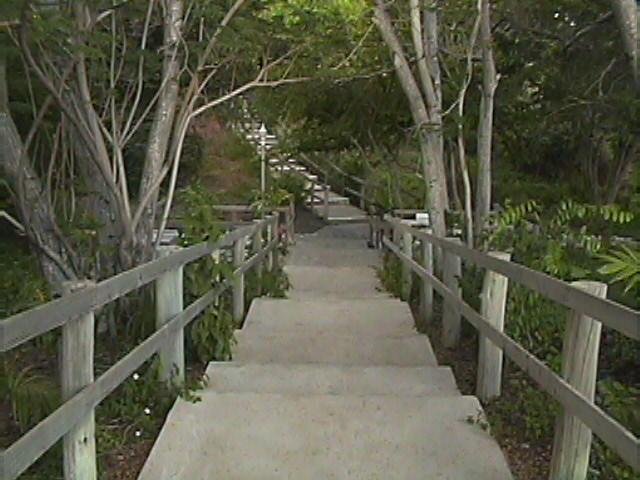 Treasure Beach Hotel