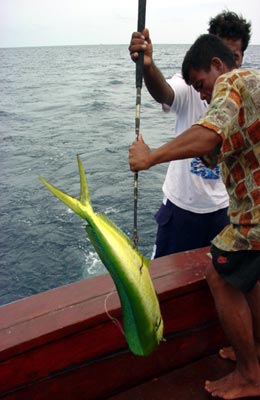 Baan Mai Cottages & Restaurant