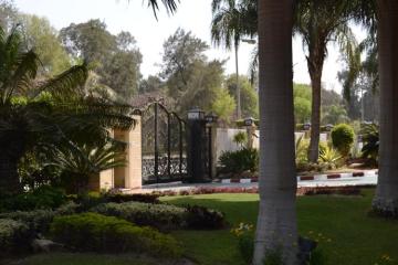 Отель Triumph Plaza Hotel Египет, Каир, фото 26