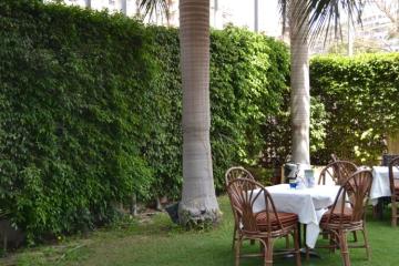 Отель Triumph Plaza Hotel Египет, Каир, фото 30