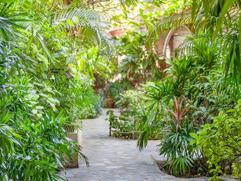 Tropica Bungalow Hotel & Restaurant