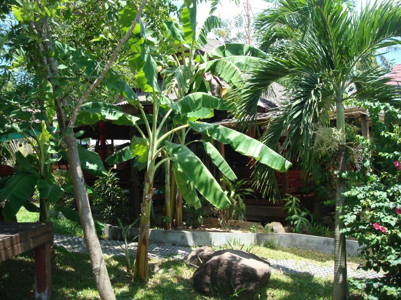 Tropical Garden Lounge Hotel & Resort