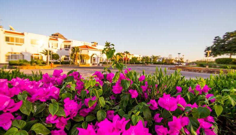 Le Mirage New Tower Hotel & Resort