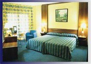 Tryp Guadalajara