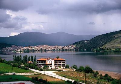 Tsamis