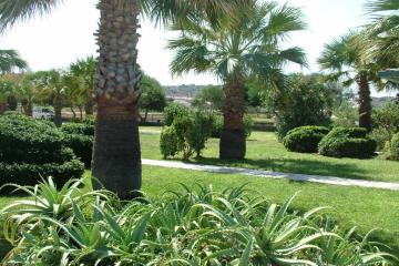 Отель Babaylon Турция, Чешме, фото 13