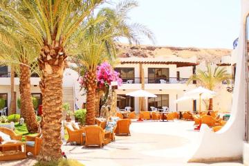 Отель Turquoise Beach Hotel Египет, Шарм-Эль-Шейх, фото 17