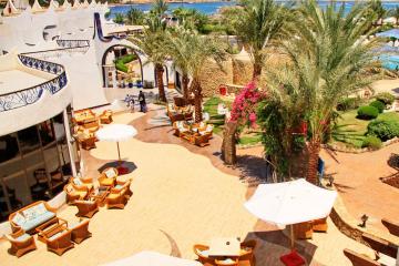 Отель Turquoise Beach Hotel Египет, Шарм-Эль-Шейх, фото 18