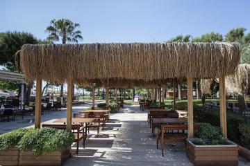 Отель Club Turtas Beach Hotel Турция, Конаклы, фото 12