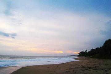Отель Turtle Bay Шри-Ланка, Тангалле, фото 4