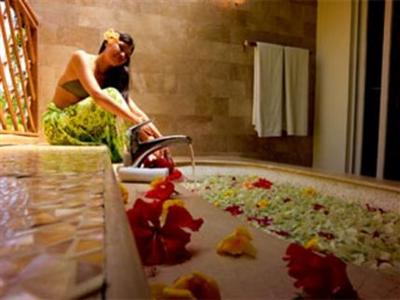 Badian Island Wellness Resort