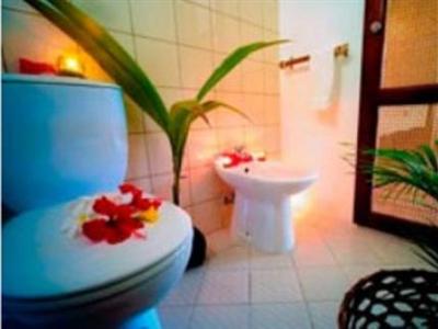 Badian Island Wellness Resort