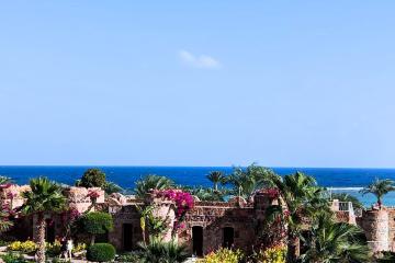 Отель Utopia Beach Club Египет, Марса Алам, Эль Кусейр, фото 23