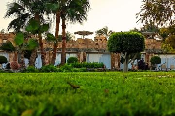 Отель Utopia Beach Club Египет, Марса Алам, Эль Кусейр, фото 30