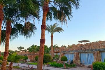 Отель Utopia Beach Club Египет, Марса Алам, Эль Кусейр, фото 33