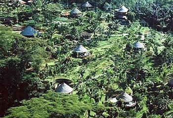 Отель Bagus Jati Индонезия, о Бали, фото 5