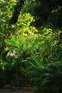 Varinda Garden Resort