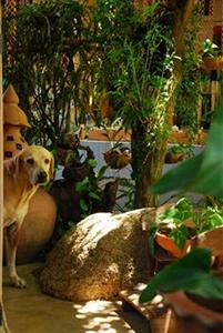 Varinda Garden Resort