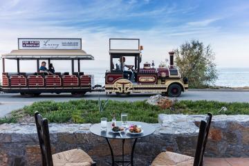 Отель Vasia Resort & Spa Греция, о. Крит-Лассити, фото 13