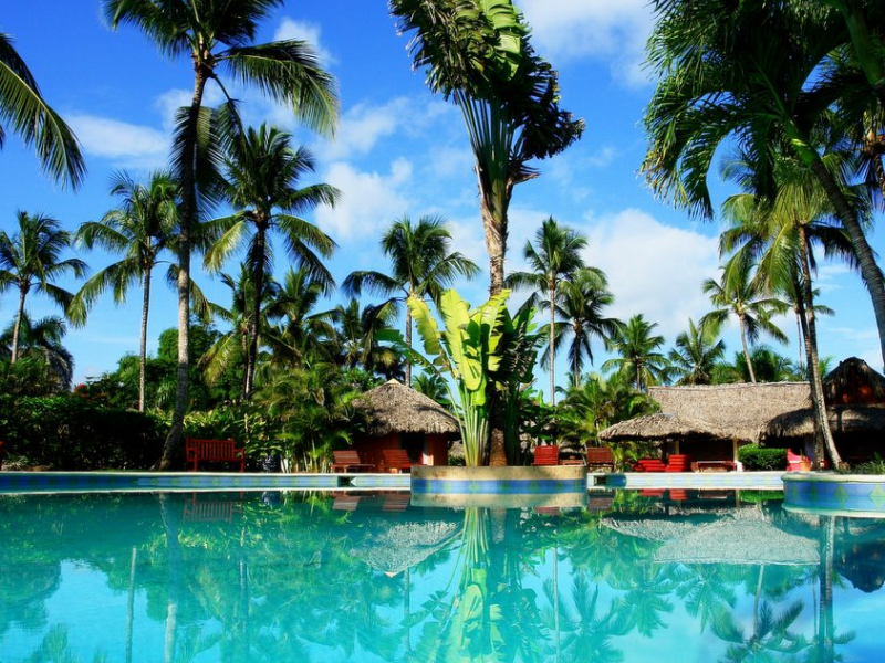 Operadora Las Ballenas