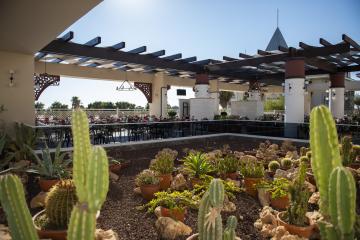 Отель Side Star Resort Турция, Чолаклы, фото 94