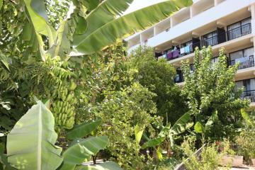 Отель Veronica Hotel Кипр, Пафос, фото 19