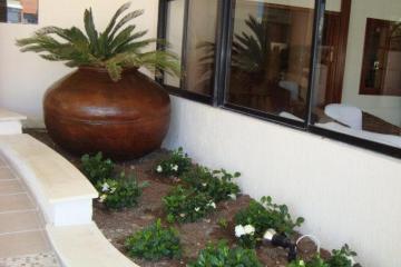 Отель Veronica Hotel Кипр, Пафос, фото 2