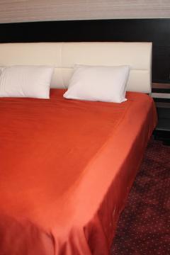 Отель Villa Palace Грузия, Бакуриани, фото 47