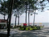 Отель Villa ReTa Грузия, Уреки, фото 12